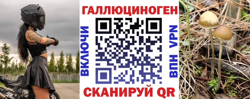 Галлюциногенные грибы Psilocybe  Аргун 